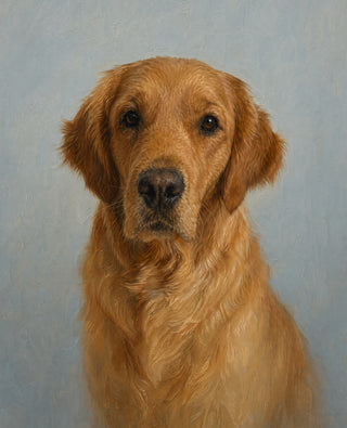 Pure Portrait