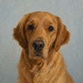 Pure Portrait