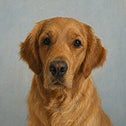 Pure Portrait