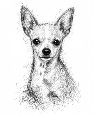Studio Pencil