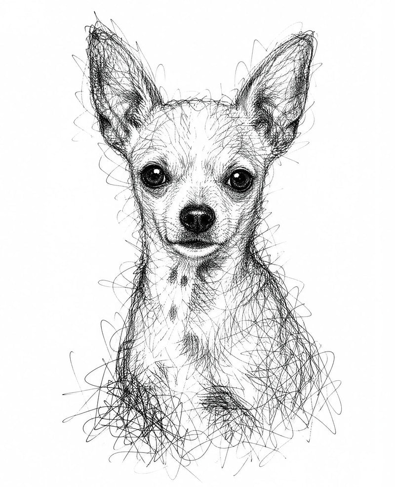 Studio Pencil