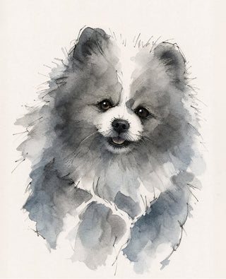 Studio Watercolour
