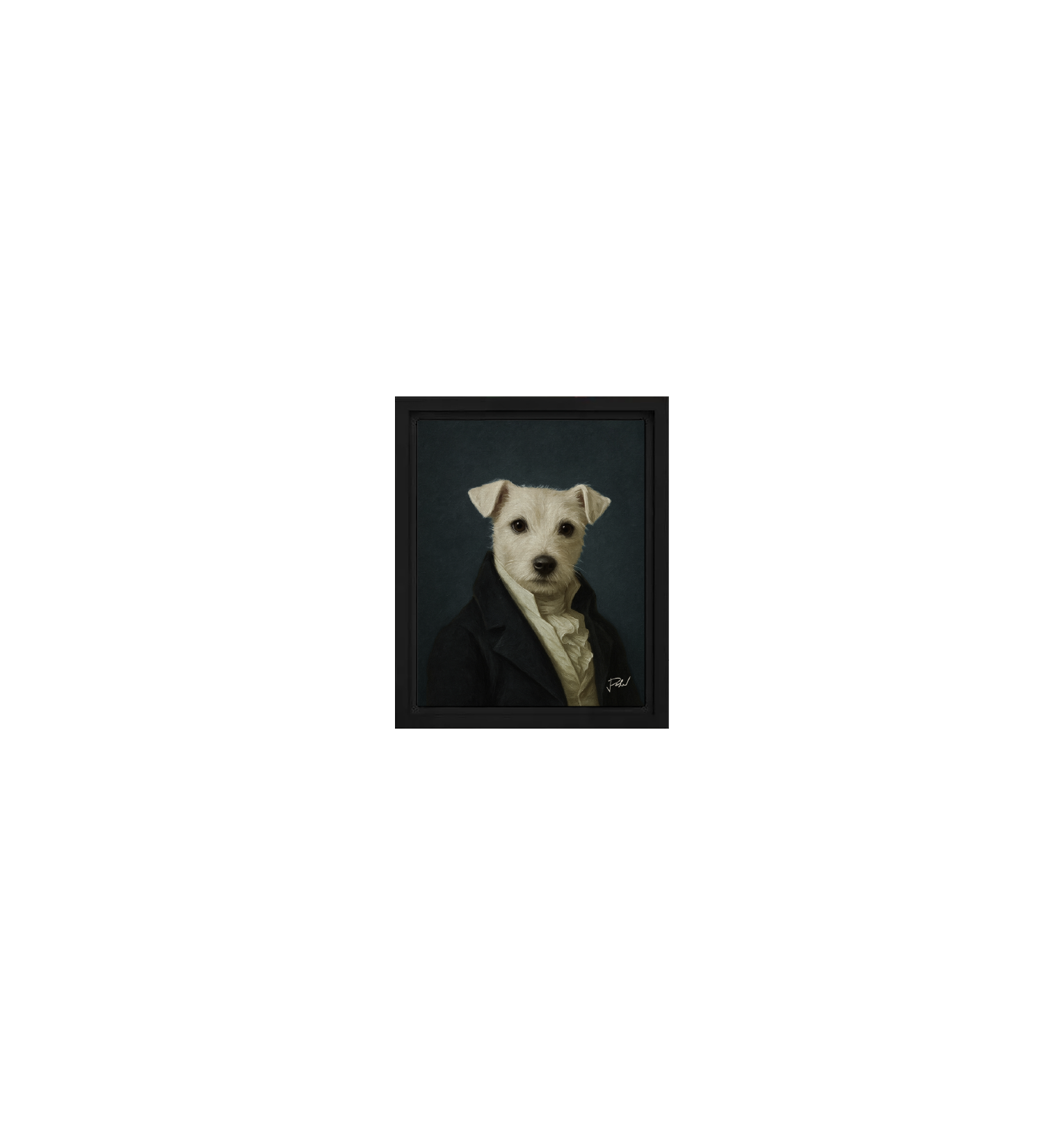 Framed canvas