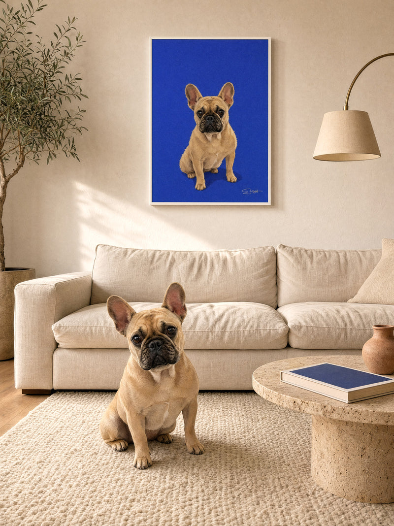 French bulldog Studio Pop blue portrait in a white frame on a cream sofa