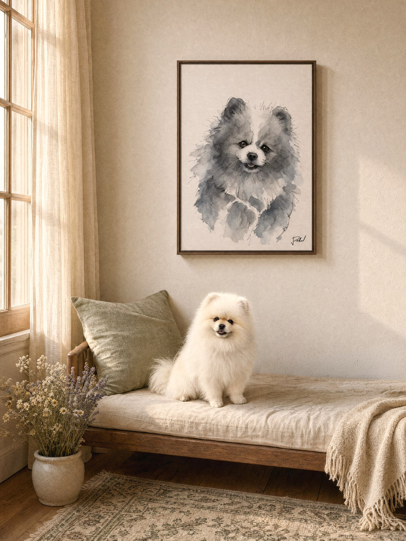 Pomeranian dream watercolour portrait in walnut frame on a day bed