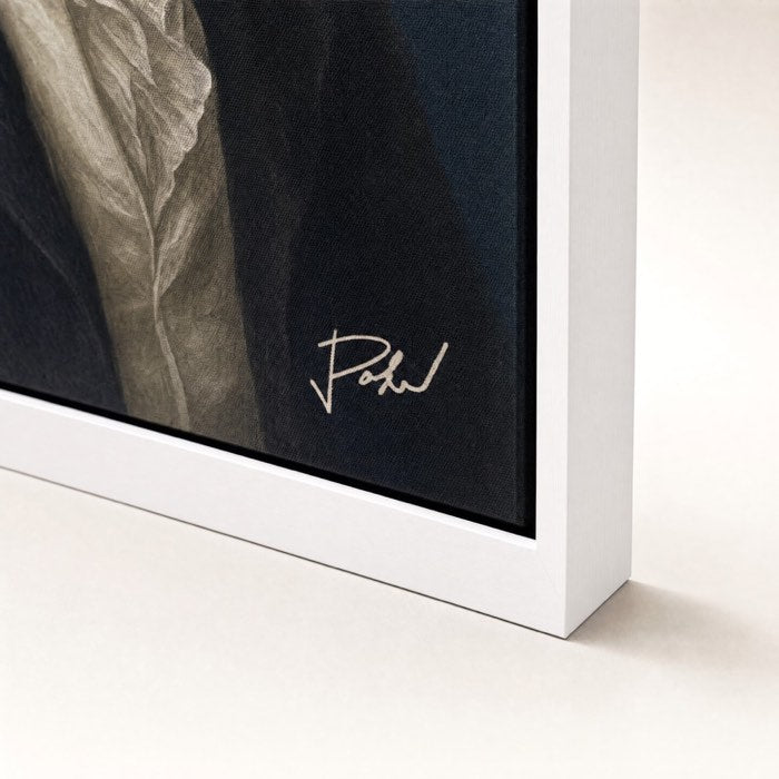 White frame